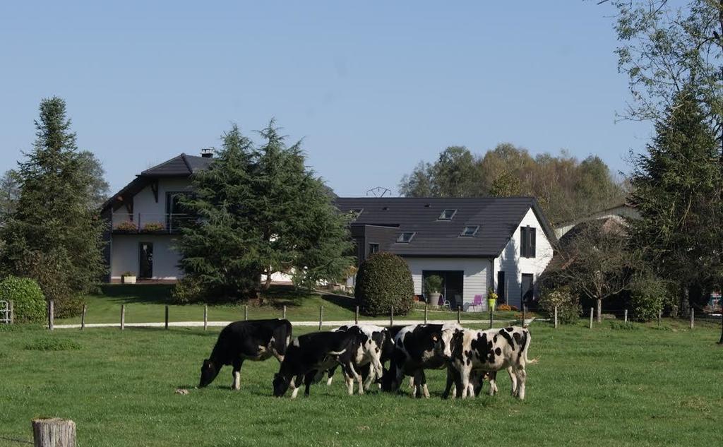 Corbenay ラ ヌー オーバン Bed & Breakfast エクステリア 写真